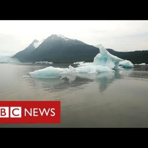 Alaska’s melting glaciers pressure of us from their properties as sea rises – BBC News