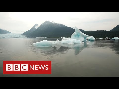 Alaska’s melting glaciers pressure of us from their properties as sea rises – BBC News