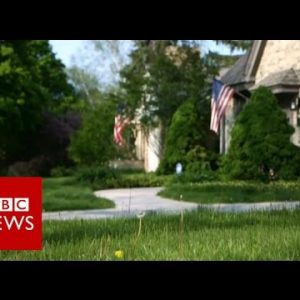 Inside the thoughts of white The United States – BBC News