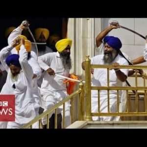 Sikh teams clash with swords at India’s Golden Temple – BBC Information