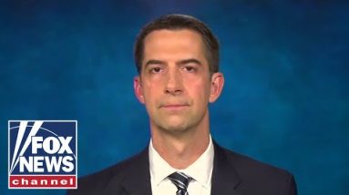 Tom Cotton moves to ban China from shopping US land