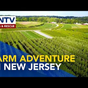 Farm Proceed in Unique Jersey, USA | Hasten Ko ‘To