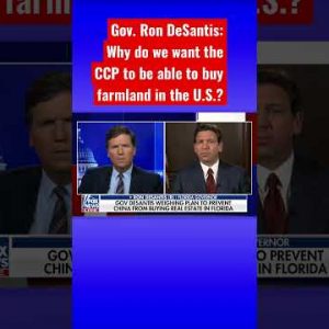 Ron DeSantis: Here’s a possibility to our nation #shorts